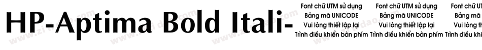 HP-Aptima Bold Itali字体转换